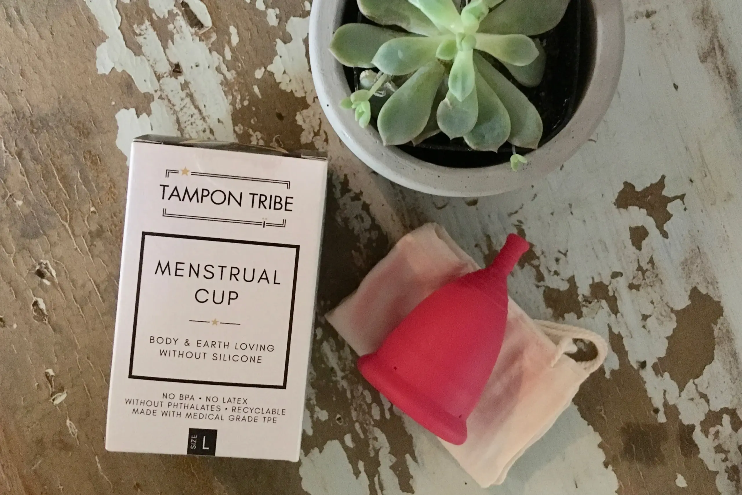 menstrual cup-image